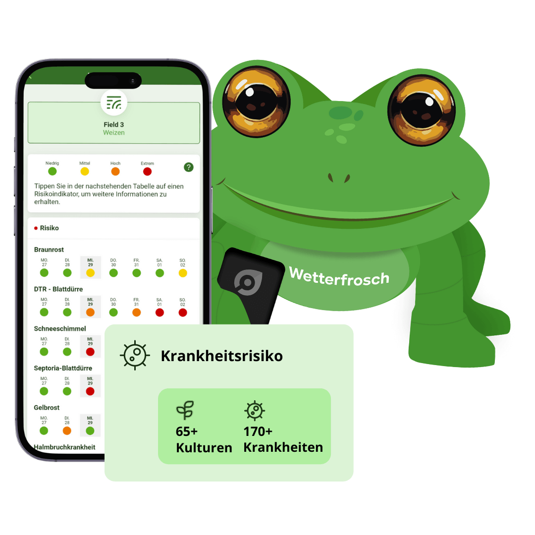 wetterforsch + app